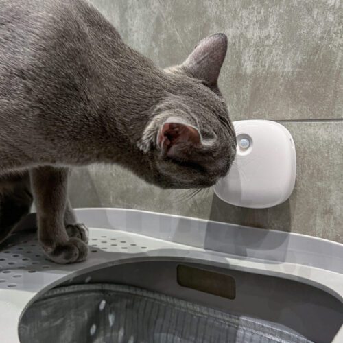 Sniff Smart Odor