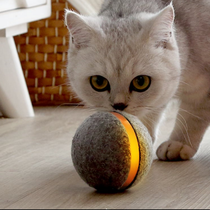 Wicked Ball for katter og hunder