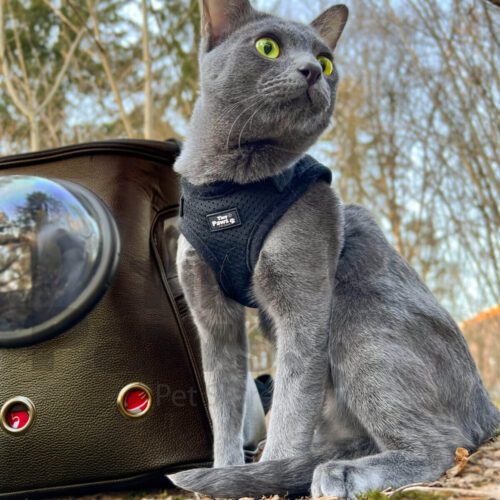 Tiny Paws Sele med borrelås