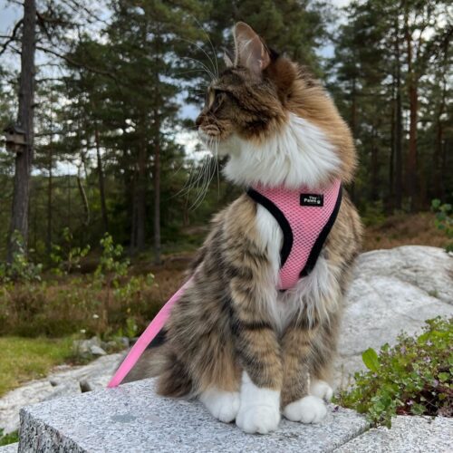 Tiny Paws Fleksibel Sele med refleks skog