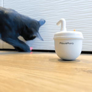 korat Bobble-te laser katteleke