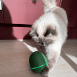 Cheerble Wicked Egg for katt og hund